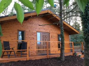 利默里克Butterfly cabin的树林中的小木屋,设有门廊