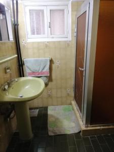 卜舍里Tiger House Guest House的一间带水槽和淋浴的浴室