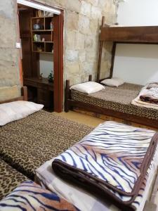 卜舍里Tiger House Guest House的一间客房内配有两张双层床的房间