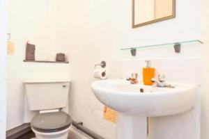 肯德尔林德赫斯特宾馆的白色的浴室设有水槽和卫生间。