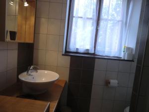 科尔马Gite "Karcher"的一间带水槽和窗户的浴室