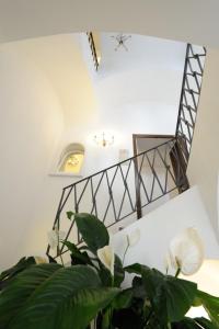 阿马尔菲卢斯公寓的楼梯和房间内的植物