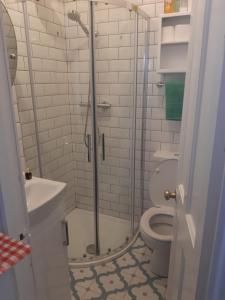都柏林阿卡拉住宿加早餐旅馆的带淋浴、卫生间和盥洗盆的浴室