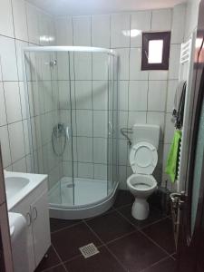 Vila Chiojdu的一间浴室