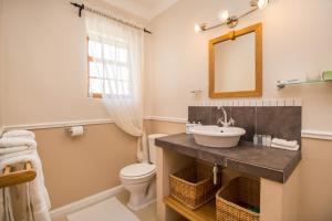 蒙塔古Montagu Vines Guesthouse的一间带水槽、卫生间和镜子的浴室