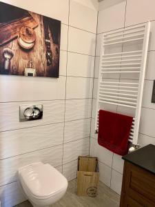 克拉根福Sandra's Lounge的一间带卫生间和红色毛巾的浴室