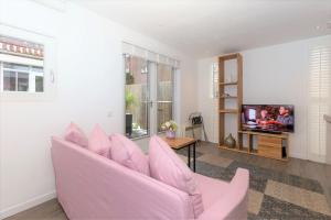 阿姆斯特丹Bed & Bike Studio Amsterdam的客厅设有一张粉红色的沙发,配有电视