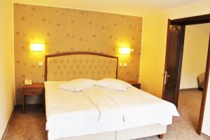 波亚纳布拉索夫克里萨宾酒店的卧室配有白色的床和2个枕头
