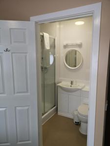 布莱克浦劳顿酒店的带淋浴、卫生间和盥洗盆的浴室