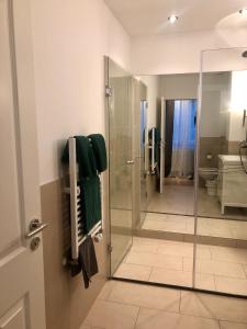 杜伊斯堡拉莫尔盖尔尼酒店的带淋浴和玻璃淋浴间的浴室