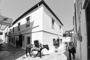 伊兹拉马斯托里斯旅馆的一条狭窄街道上拉马车的马