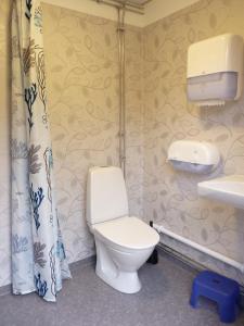 Hammarstrand2/4 persoons stuga lyx的一间带卫生间和水槽的浴室