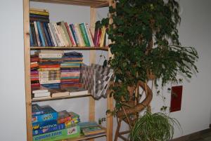 Bańska NiżnaU Jasia - Agroturystyka的书架上装满植物旁边的书