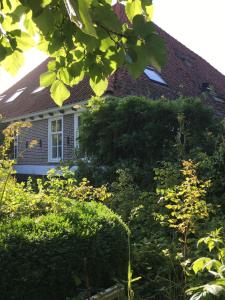 GraftB&B De Pauw - Country Home Cooking的前面有一堆灌木的房子