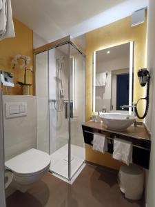 林根贝格Hotel Brienzersee的带淋浴、卫生间和盥洗盆的浴室