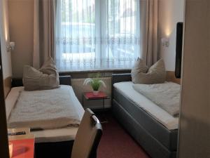 瑟梅尔达Hotel/Restaurant Balkan的带沙发和窗户的客厅