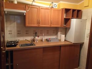 索波特Podjazd的厨房配有木制橱柜、水槽和冰箱。