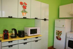 萨尔泰阿诺La casa di Rachele的厨房配有微波炉和冰箱。