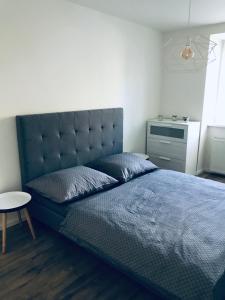 布拉迪斯拉发Príkopova 2 Apartmán的一间卧室配有一张大床和蓝色的床罩