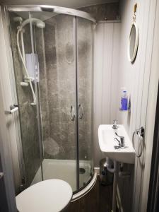 兰德林多德威尔斯Pen-Rhos luxury glamping "Cuckoo's Nest"的带淋浴、卫生间和盥洗盆的浴室