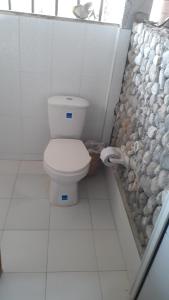 努基Cabañas Refugio Salomon的一间带卫生间和岩石墙的浴室