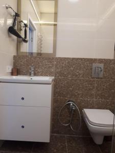 敖德萨Apartments Lutsdorf的一间带卫生间、水槽和镜子的浴室