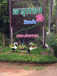 巴真府巴真府普鲁科萨度假村的两个天鹅在花园的标志前