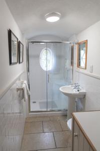 CastletownrocheAnne's Grove Miniature Castle的带淋浴和盥洗盆的浴室