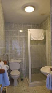 斯特灵白宫旅馆的浴室配有卫生间、淋浴和盥洗盆。