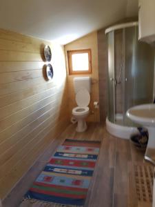 扎布利亚克Zabljak Panoramic View Lodge的浴室配有卫生间、淋浴和盥洗盆。