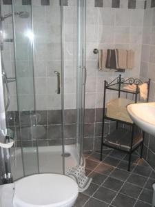 圣坎迪朵Haus Milli的带淋浴、卫生间和盥洗盆的浴室