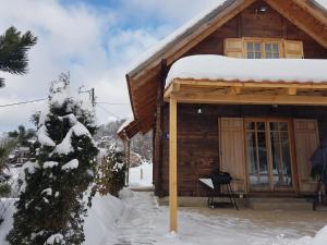 Crni VrhStara Planina Stankovic的小木屋,屋顶上积雪