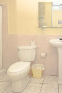 弗洛勒斯萨瓦纳酒店的浴室配有白色卫生间和盥洗盆。