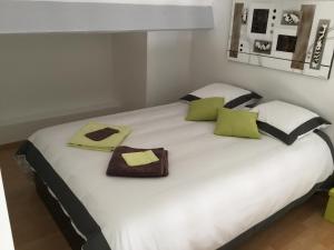 索尔古河畔的恩特莱奎斯Gîte avec Piscine Lou Minèstraü的一张带绿色和黑色枕头的大型白色床