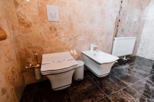 第聂伯罗汗法梧桐酒店的一间带卫生间和水槽的浴室