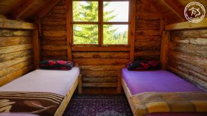 KosanicaEco Camp Drno Brdo的小木屋内的两张床,设有窗户