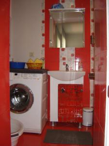 卡赞勒克Rose valley guest house的一间带洗衣机和水槽的浴室