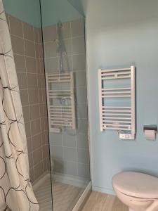 沙特拉永普拉日Le Rayon de Soleil的带淋浴和卫生间的浴室