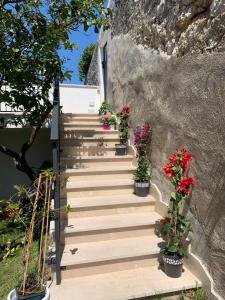 佩斯基奇B&B Di Fiore的一套楼梯,上面有盆栽花