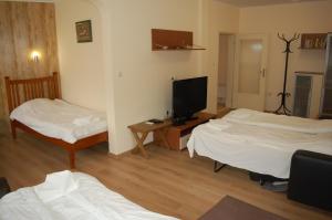 特里亚夫纳Hotel Vitosha的客房设有两张床和一台平面电视。