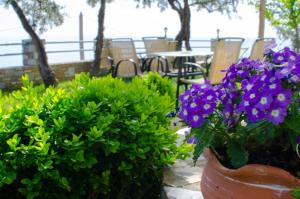 霍里顿恩斯特荣旅馆的庭院里种有紫色花卉,配有桌椅