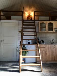 拉克韦雷Heinaka Kodu的厨房里配有带梯子的阁楼床