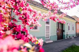 锡吉什瓦拉ATRIUM 24 Studio的前面有粉红色花的房子