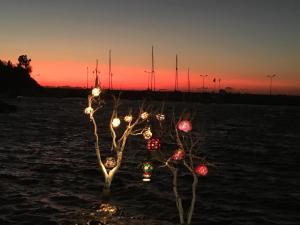 亚力卡瓦克Sun Garden Apart Hotel的水中一棵树,上面有圣诞灯
