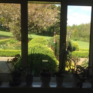金斯布里奇Estuary View Farm的窗台上装有盆栽植物的窗户
