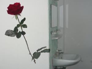 伦茨基希斯特恩酒店的浴室的墙上有玫瑰,旁边是水槽