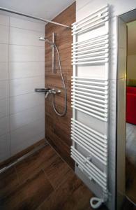 罗孚尔Ferienwohnungen Schweinöster的带淋浴的浴室和玻璃门