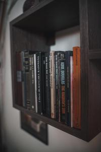 佩鲁恰茨迪特里纳中提琴公寓的书架上放着一堆书