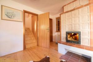 ZalogLittle dream house in a perfect spot的客厅设有壁炉,地板上放着一只狗
