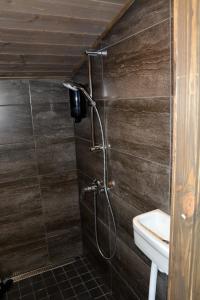 HankasalmiRevontuli Resort Glass Igloos的带淋浴和盥洗盆的浴室